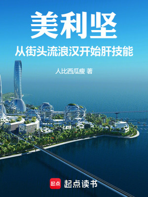 美利坚：从街头流浪汉开始肝技能章节列表