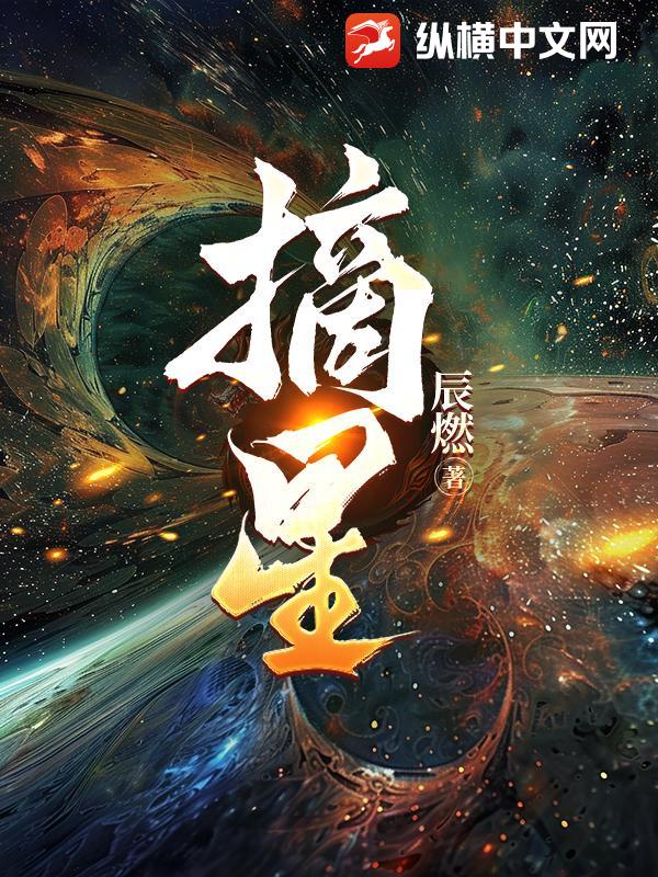 摘星章节列表