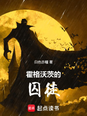 霍格沃茨的囚徒章节列表