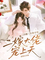 冷婚三年你不爱，二嫁大佬宠上天章节列表