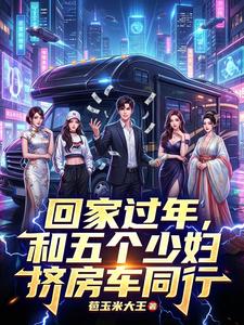 回家过年，和五个少妇挤房车同行章节列表