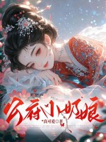 公府小奶娘章节列表